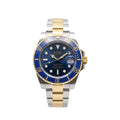 Divers-style watch, two-tone